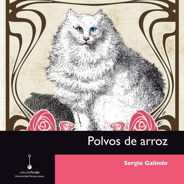 Book cover for Polvos de arroz