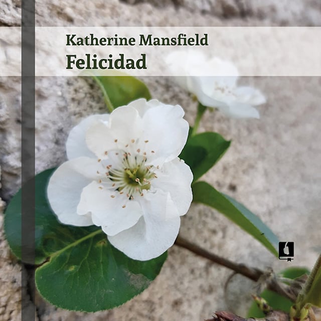 Book cover for Felicidad