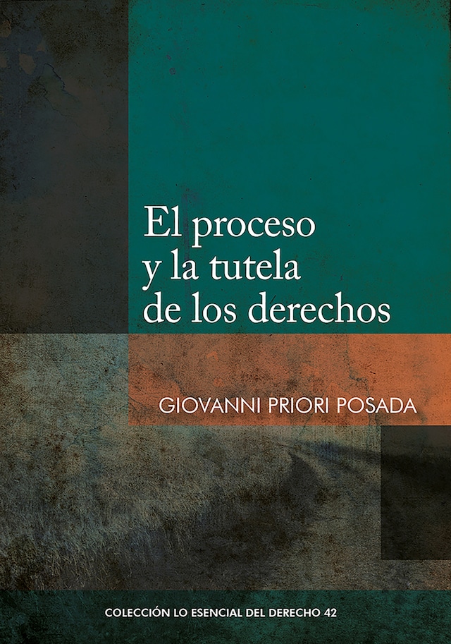 Kirjankansi teokselle El proceso y la tutela de los derechos