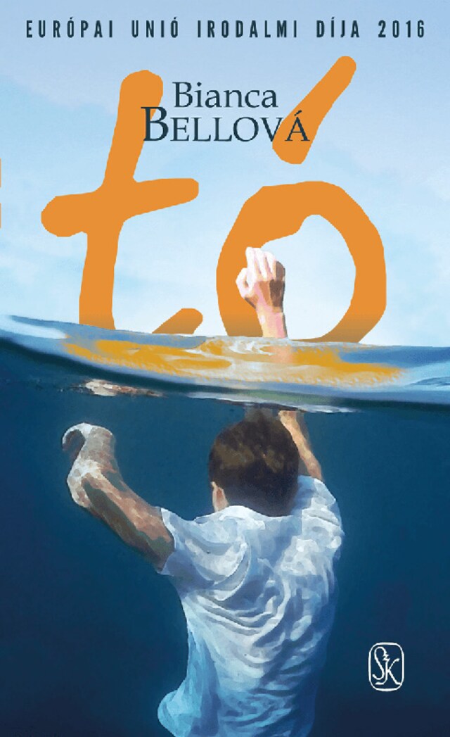 Book cover for Tó