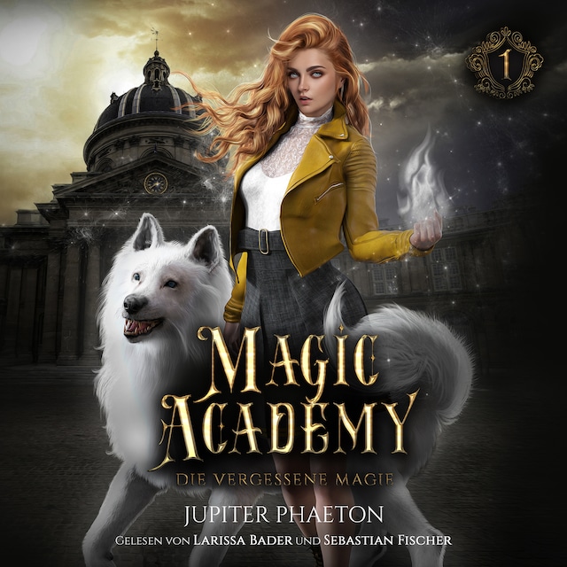 Book cover for Magic Academy - Die vergessene Magie - Fantasy Hörbuch