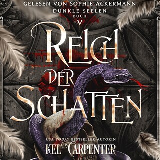 Dunkle Seelen 5 - Dark Fantasy Hörbuch als Hörbuch