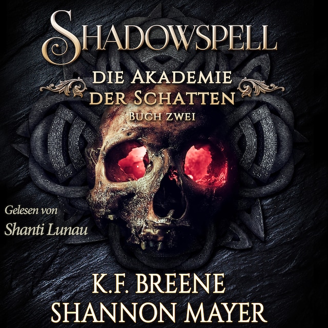 Boekomslag van Shadowspell 2