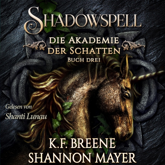 Boekomslag van Shadowspell 3