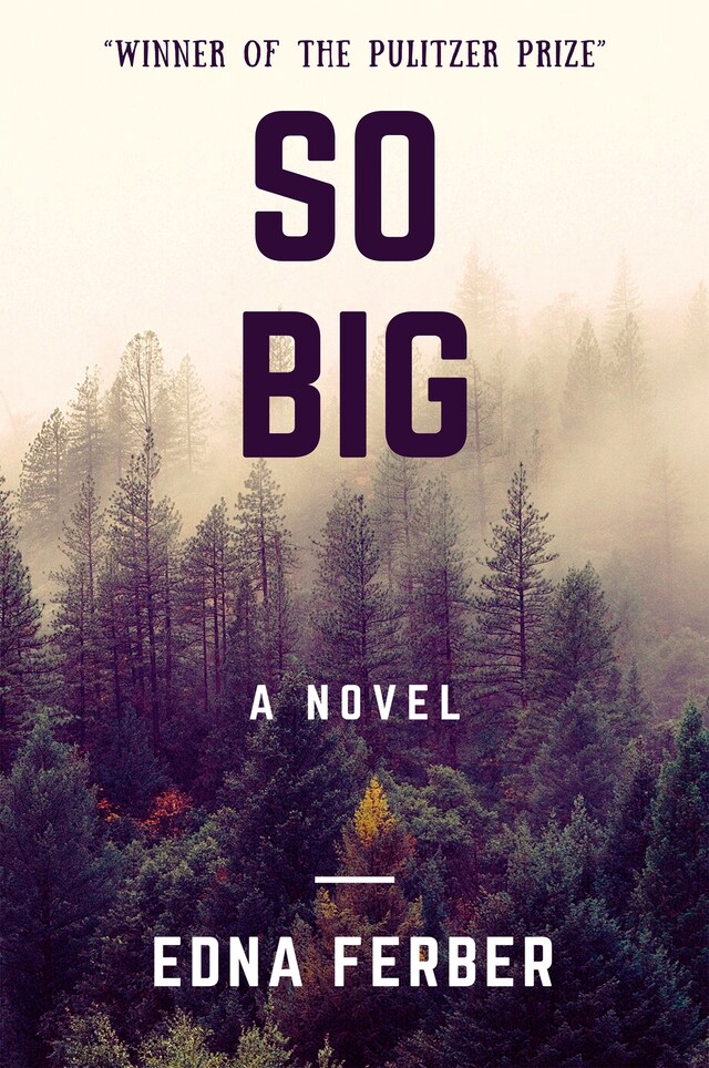 Book cover for So Big (A Novel)