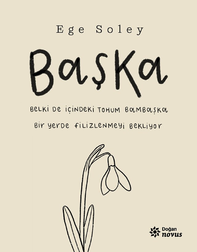 Bokomslag for Başka