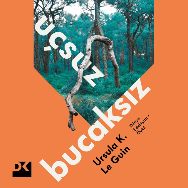Buchcover für Uçsuz Bucaksız