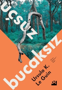 Uçsuz Bucaksız
