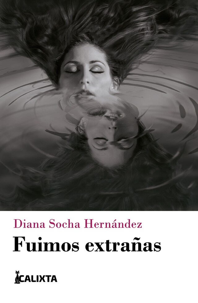 Book cover for Fuimos extrañas