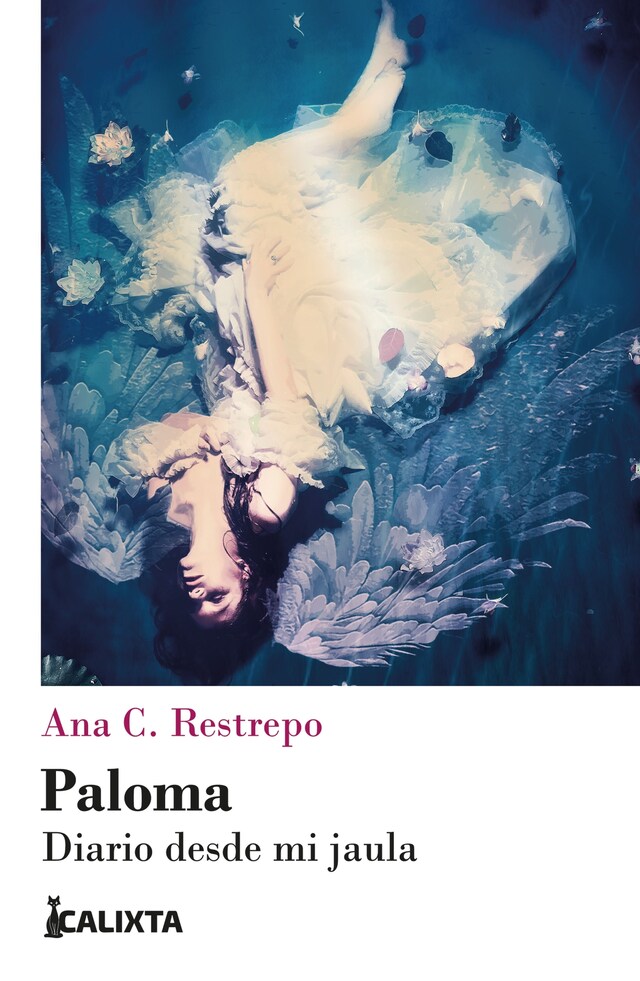 Book cover for Paloma