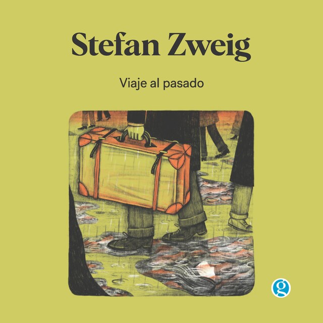 Book cover for Viaje al pasado