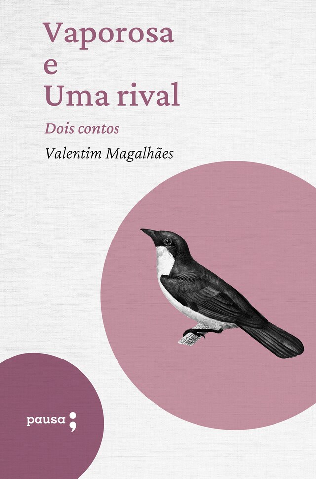 Buchcover für Vaporosa e Uma rival