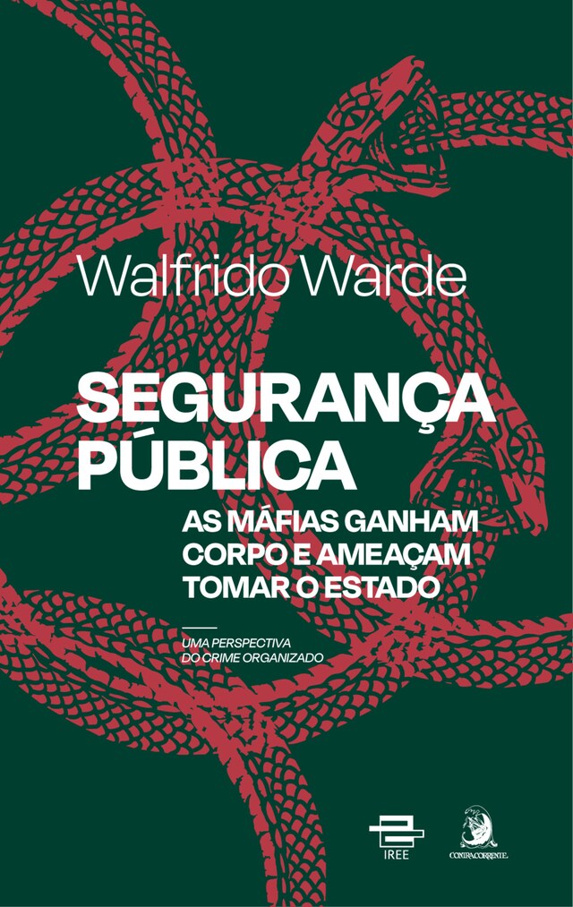 Book cover for Segurança Pública: