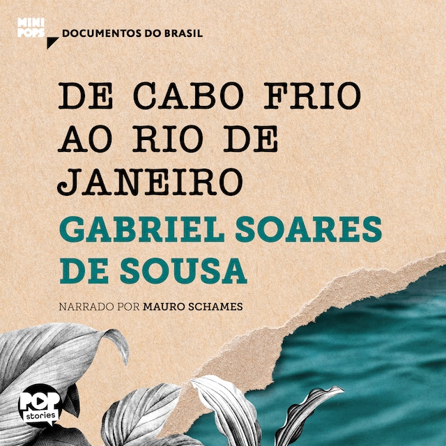 Book cover for De Cabo Frio ao Rio de Janeiro