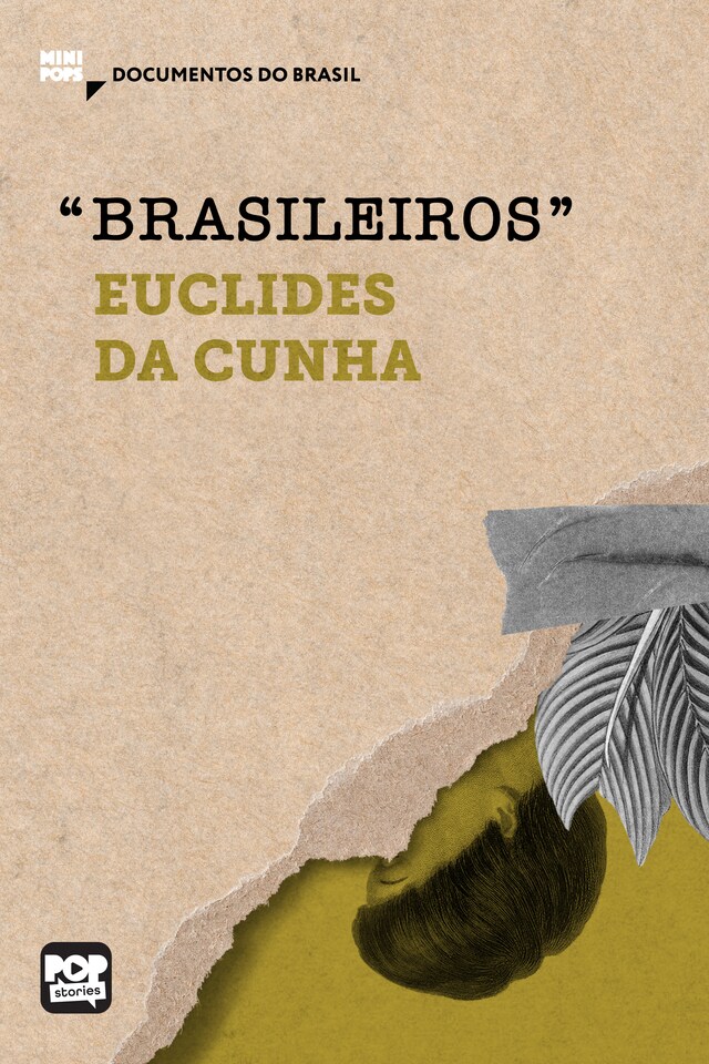 Book cover for Brasileiros