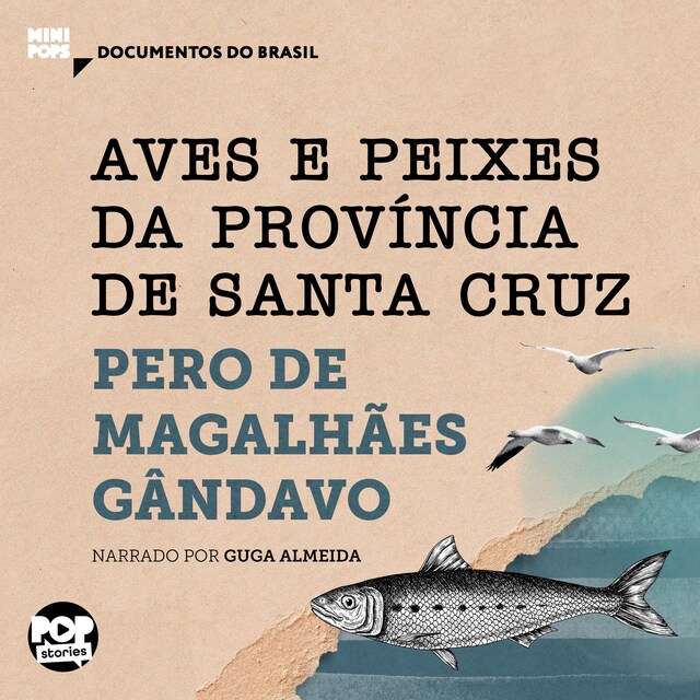 Copertina del libro per Aves e peixes da Província de Santa Cruz