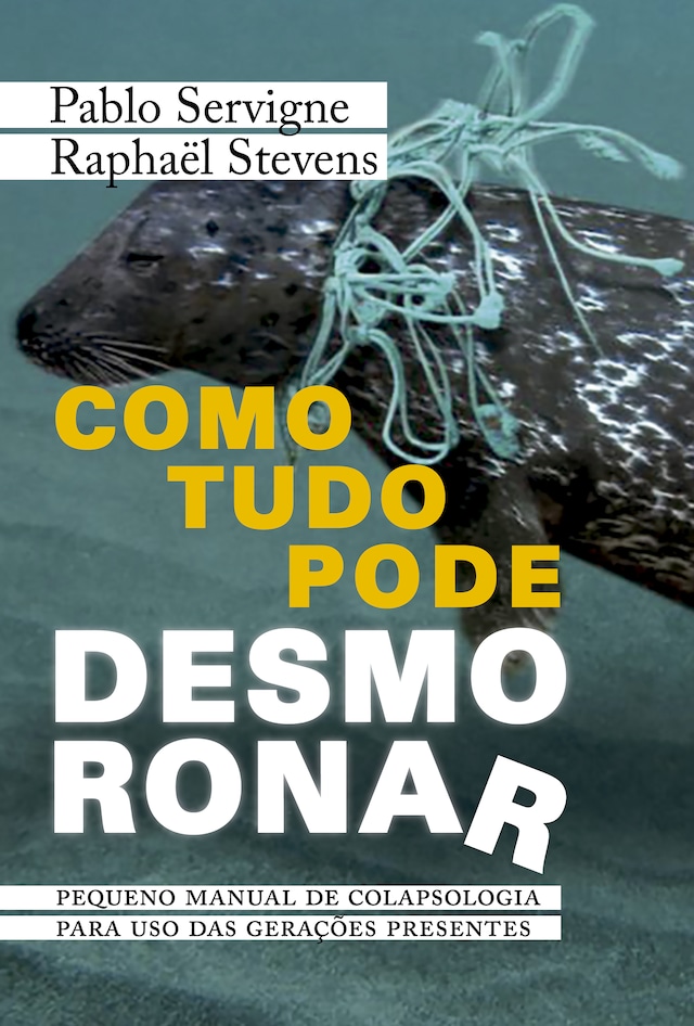 Copertina del libro per Como Tudo Pode Desmoronar