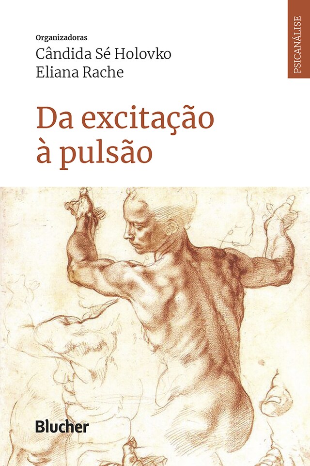 Copertina del libro per Da excitação à pulsão