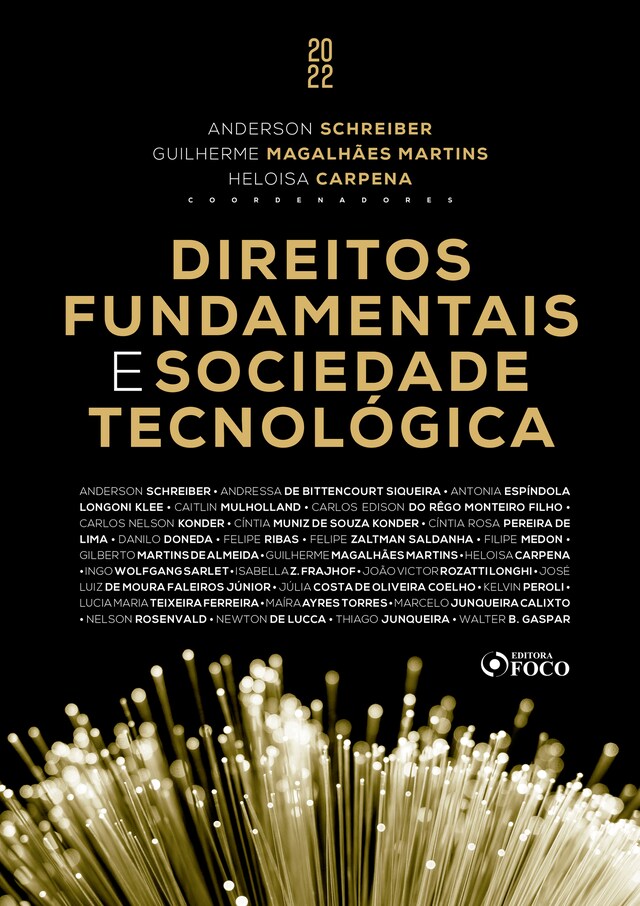Book cover for Direitos fundamentais e sociedade tecnológica