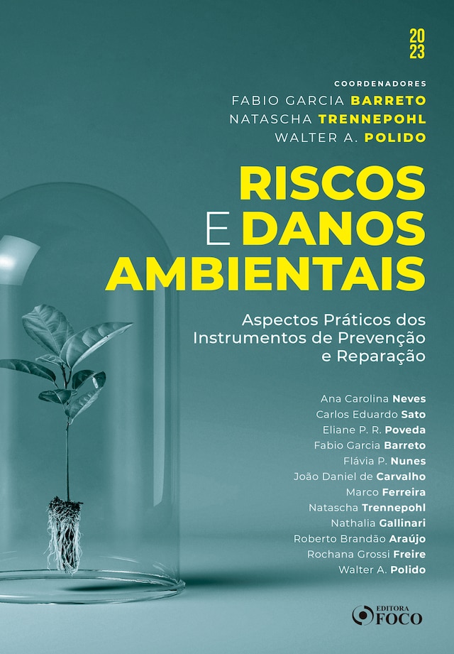 Portada de libro para Riscos e danos ambientais