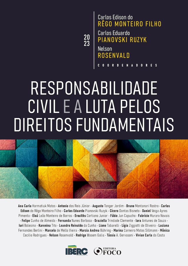 Book cover for Responsabilidade Civil e a Luta pelos Direitos Fundementais