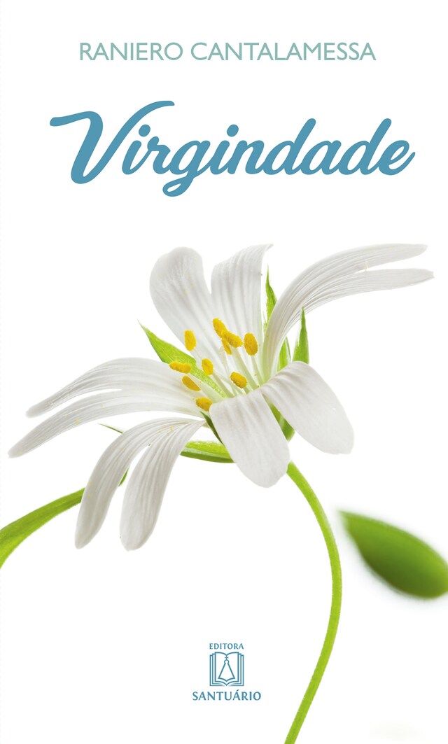 Book cover for Virgindade