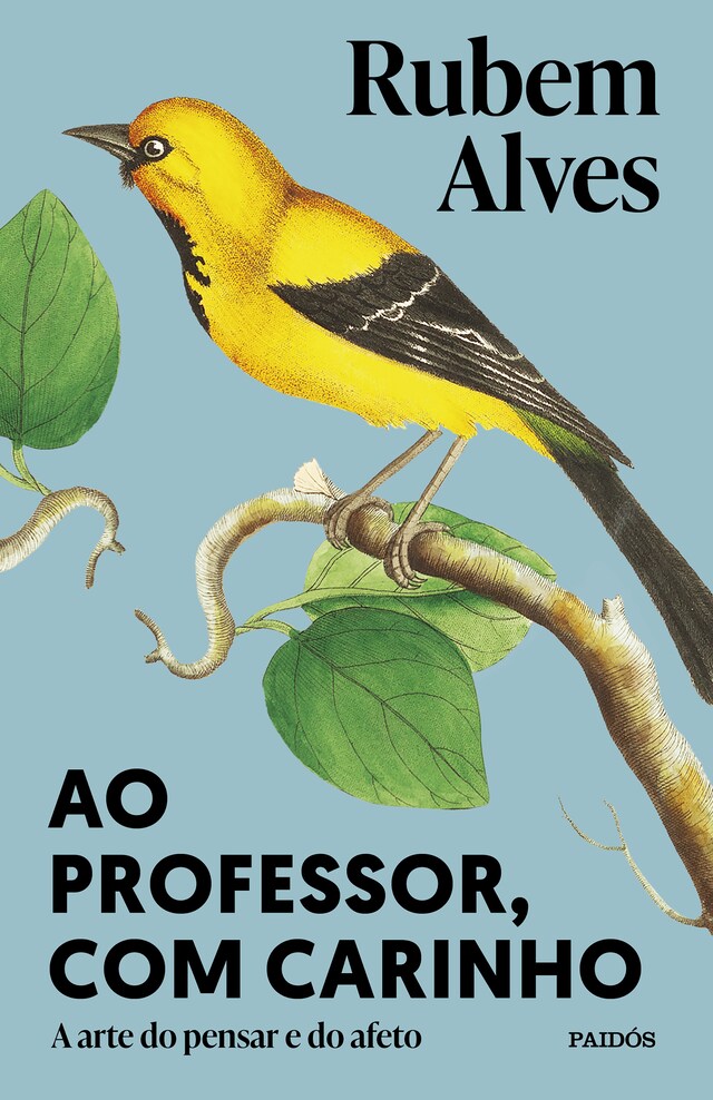 Portada de libro para Ao professor, com carinho