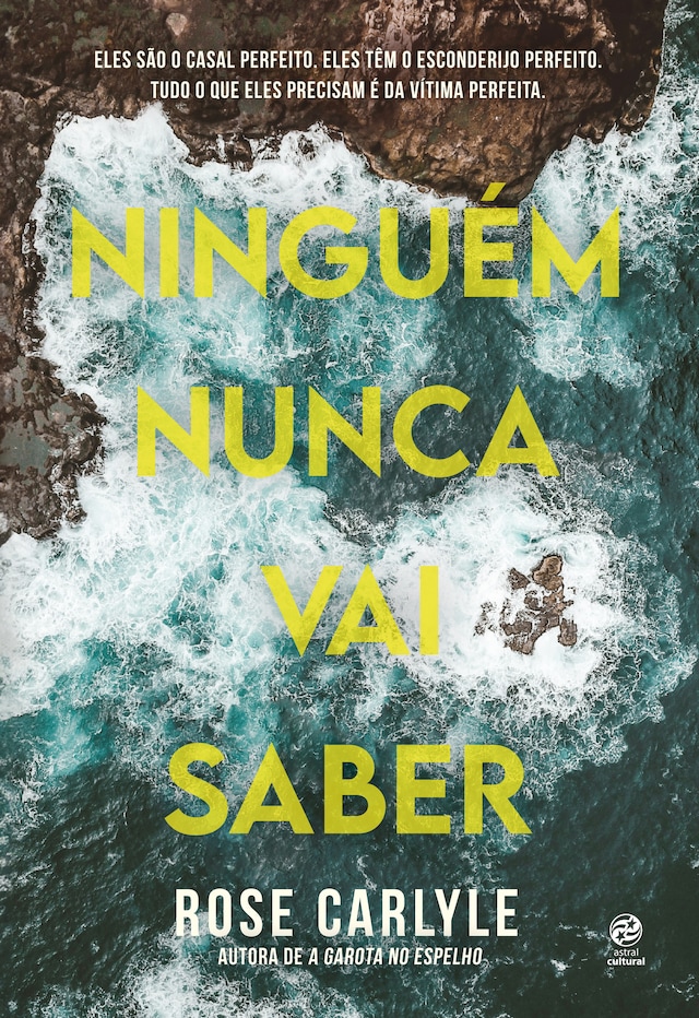 Book cover for Ninguém nunca vai saber