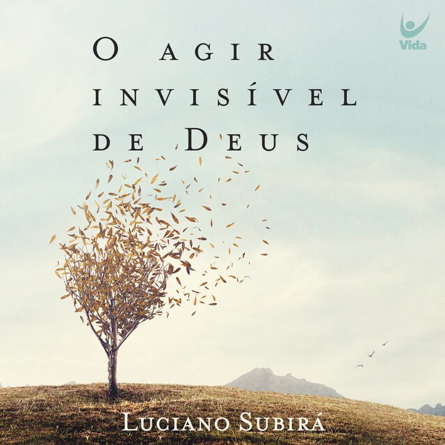 Couverture de livre pour O agir invisível de Deus