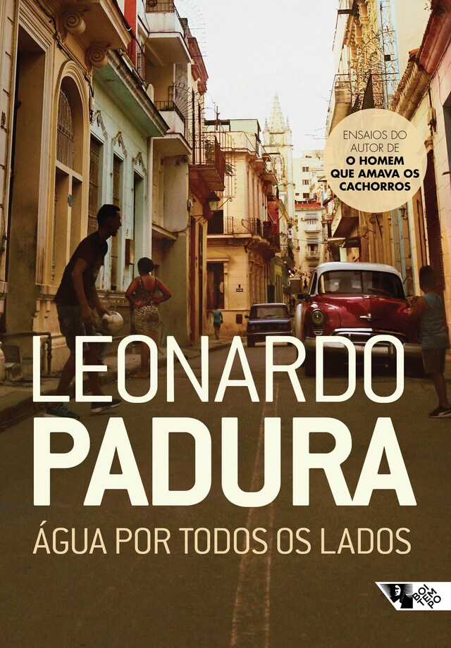 Buchcover für Água por todos os lados