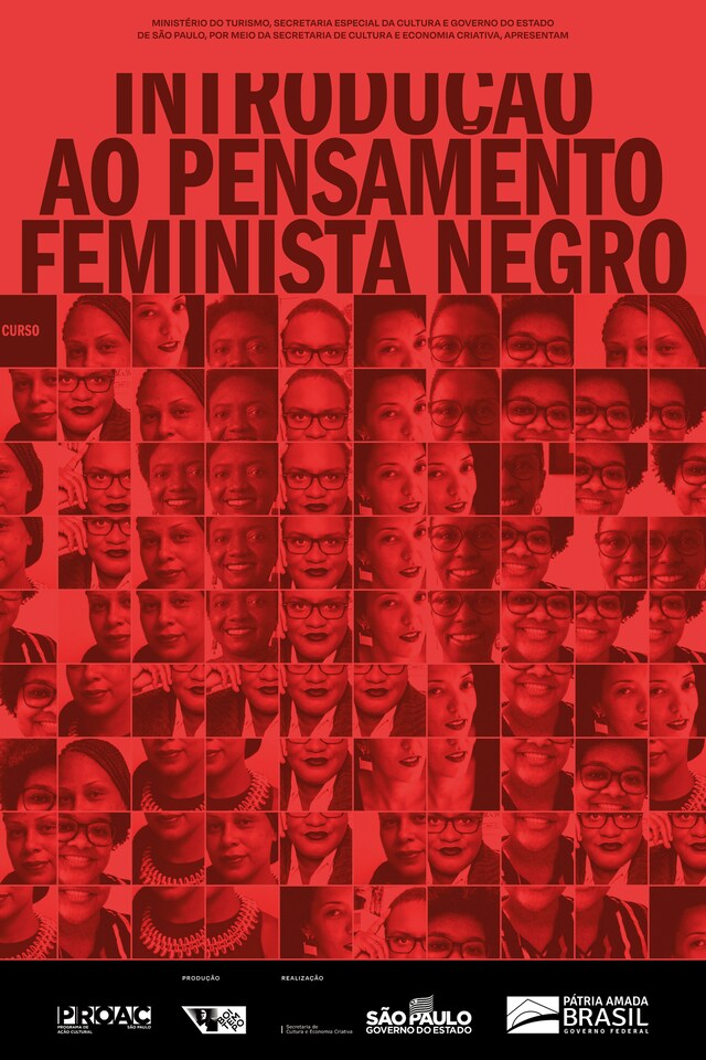 Book cover for Introdução ao pensamento feminista negro