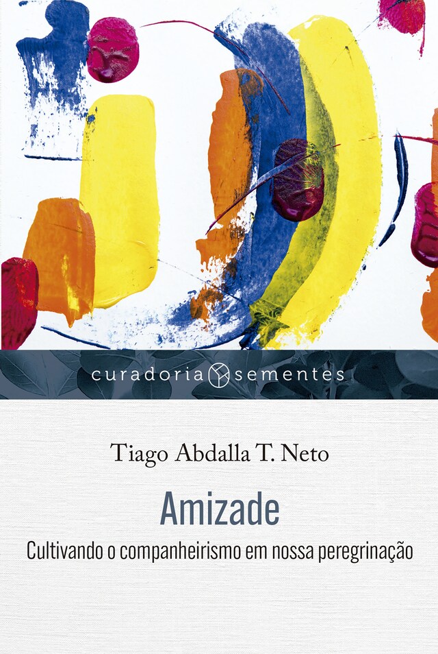 Book cover for Amizade