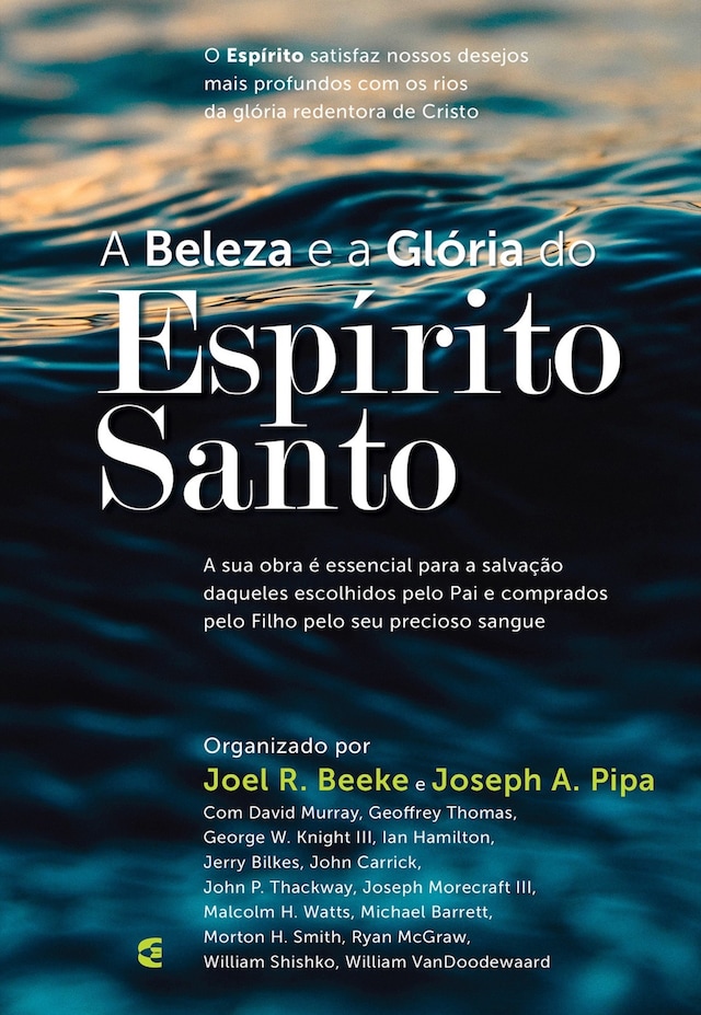 Book cover for A beleza e a Glória do Espírito Santo