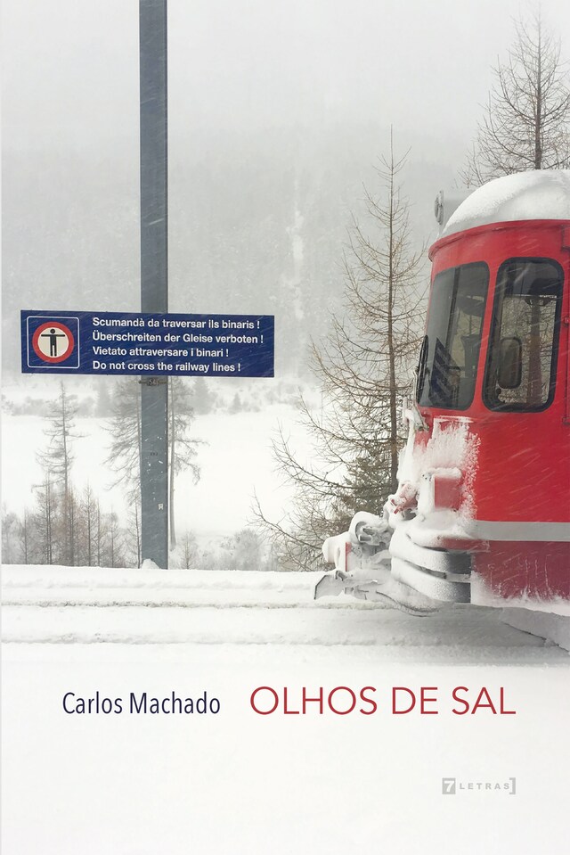 Portada de libro para Olhos de sal