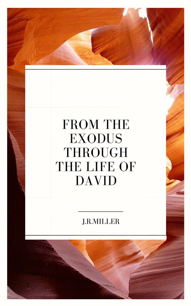 Book cover for From the Exodus through the Life of David