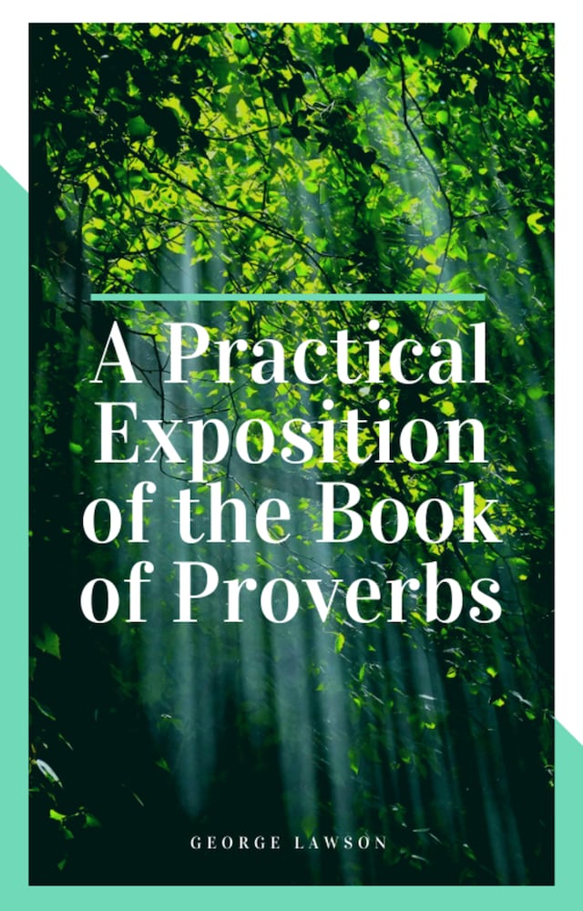 Boekomslag van A Practical Exposition of the Book of Proverbs