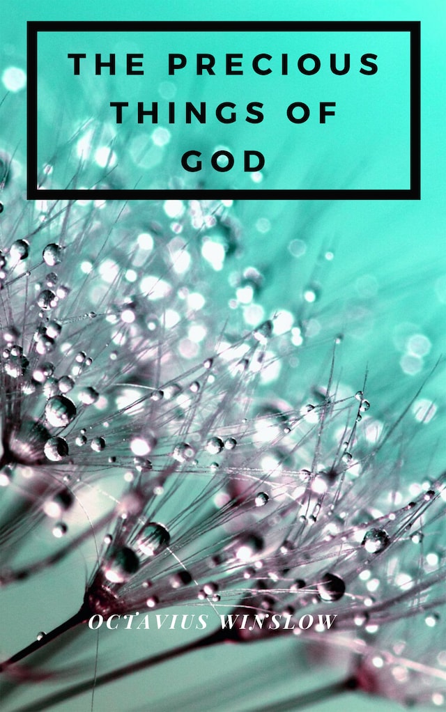 Book cover for The Precious Things Of God