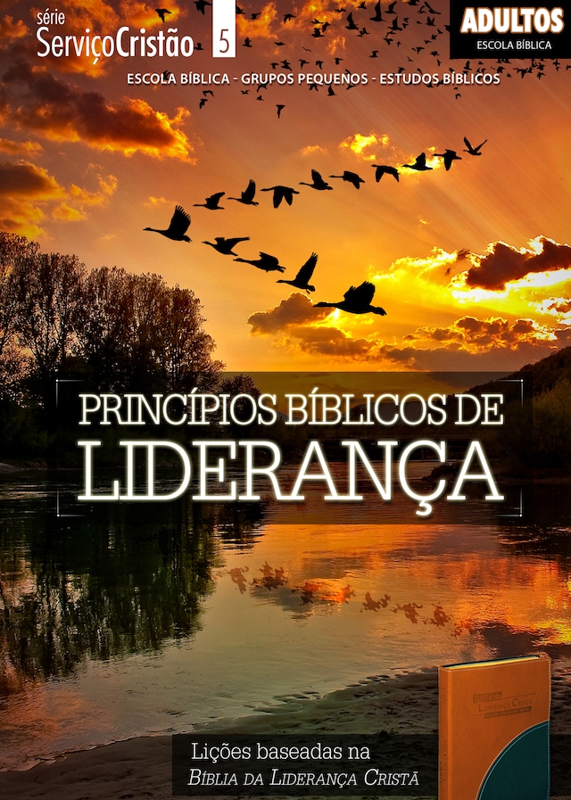 Book cover for Princípios Bíblicos de Liderança | Professor