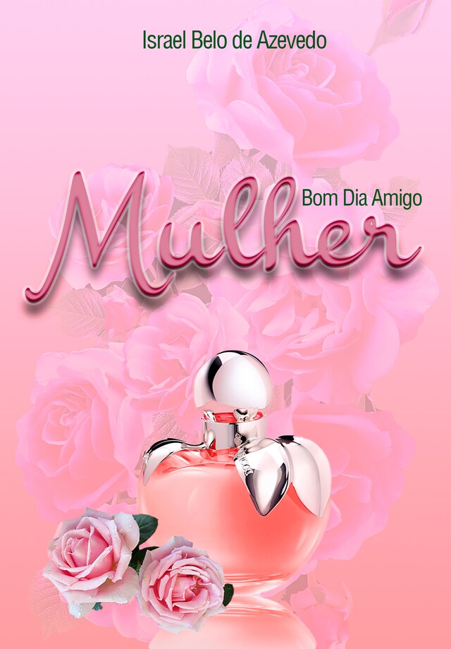 Book cover for BOM DIA AMIGO mulher