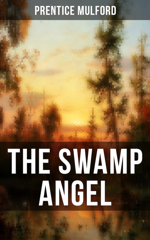 Book cover for THE SWAMP ANGEL