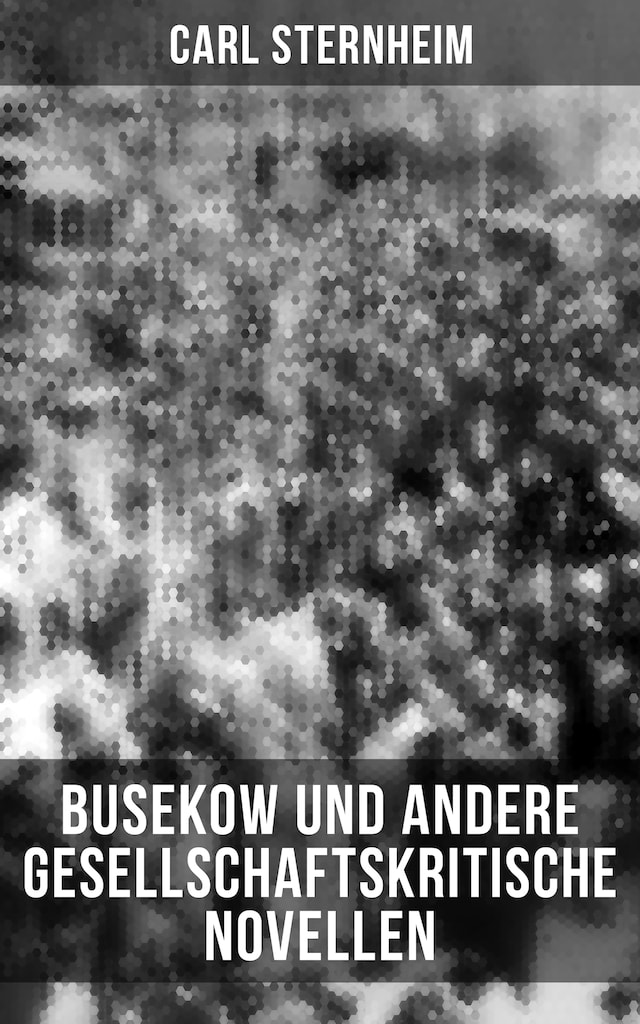 Buchcover für Busekow und andere gesellschaftskritische Novellen