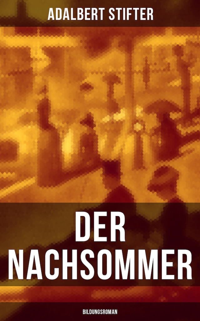 Boekomslag van Der Nachsommer: Bildungsroman