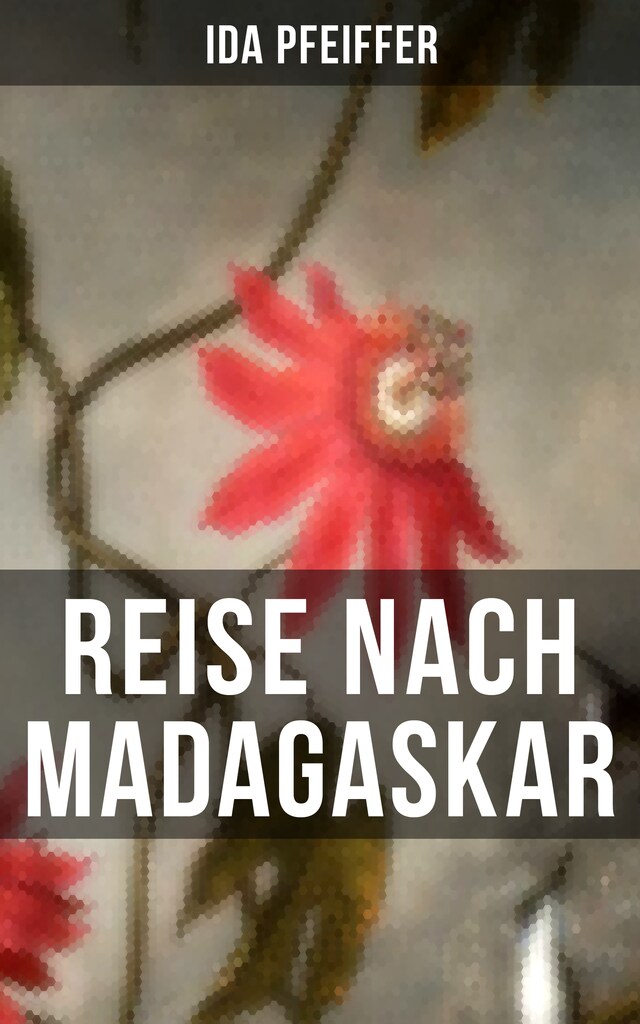 Book cover for Reise nach Madagaskar