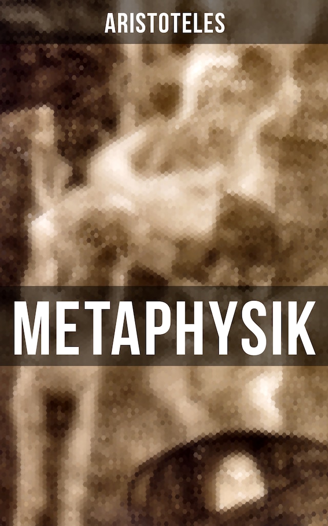 Book cover for METAPHYSIK
