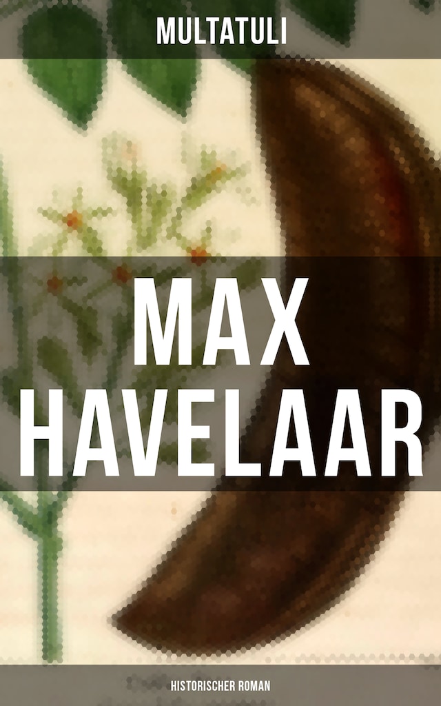 Boekomslag van Max Havelaar (Historischer Roman)