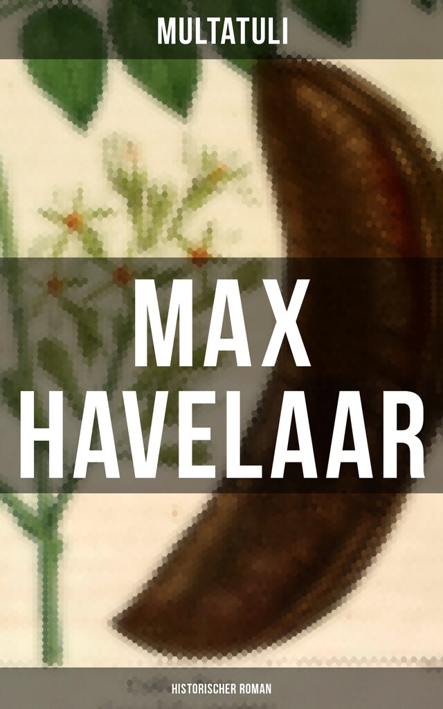 Buchcover für Max Havelaar (Historischer Roman)