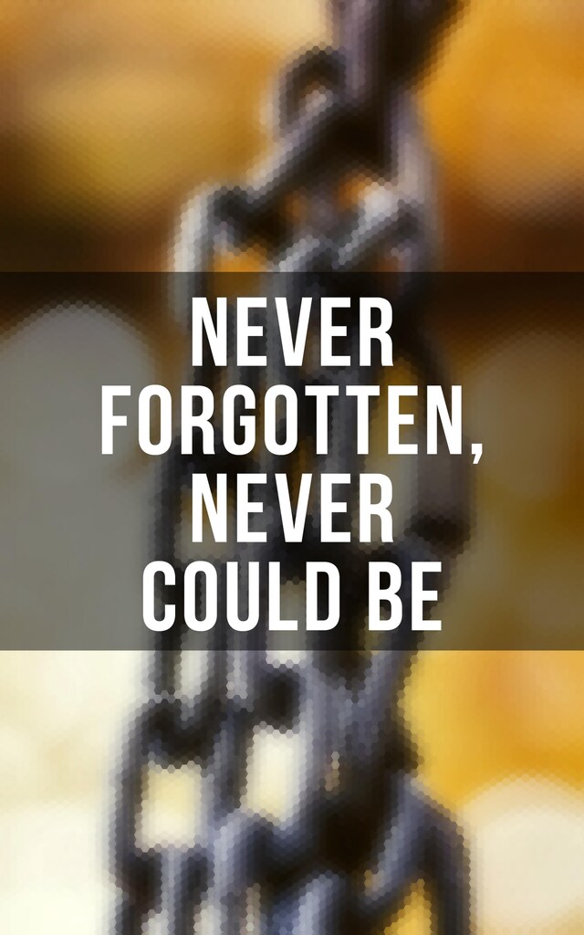 Book cover for Never Forgotten, Never Could be