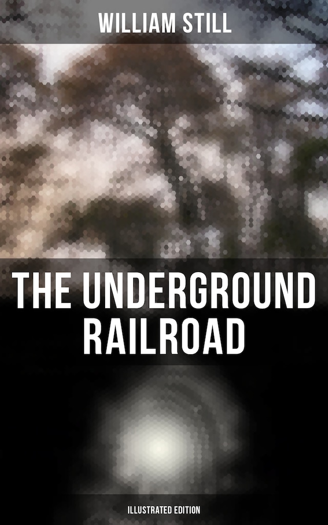 Book cover for The Underground Railroad (Illustrated Edition)