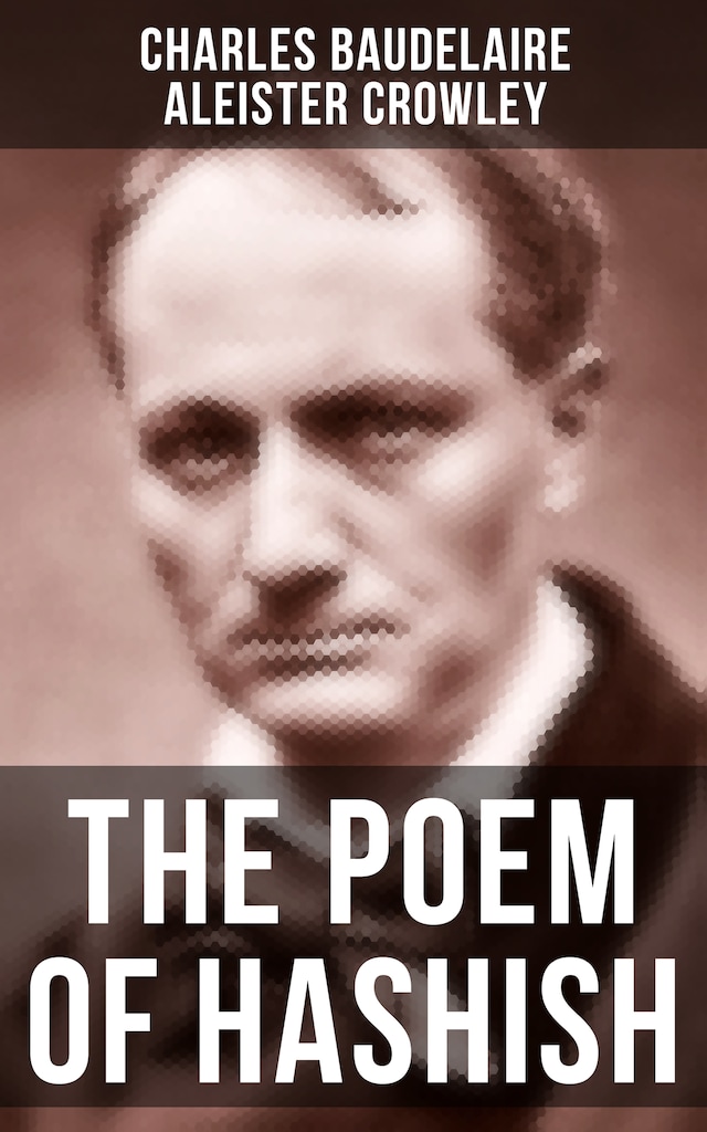 Book cover for THE POEM OF HASHISH