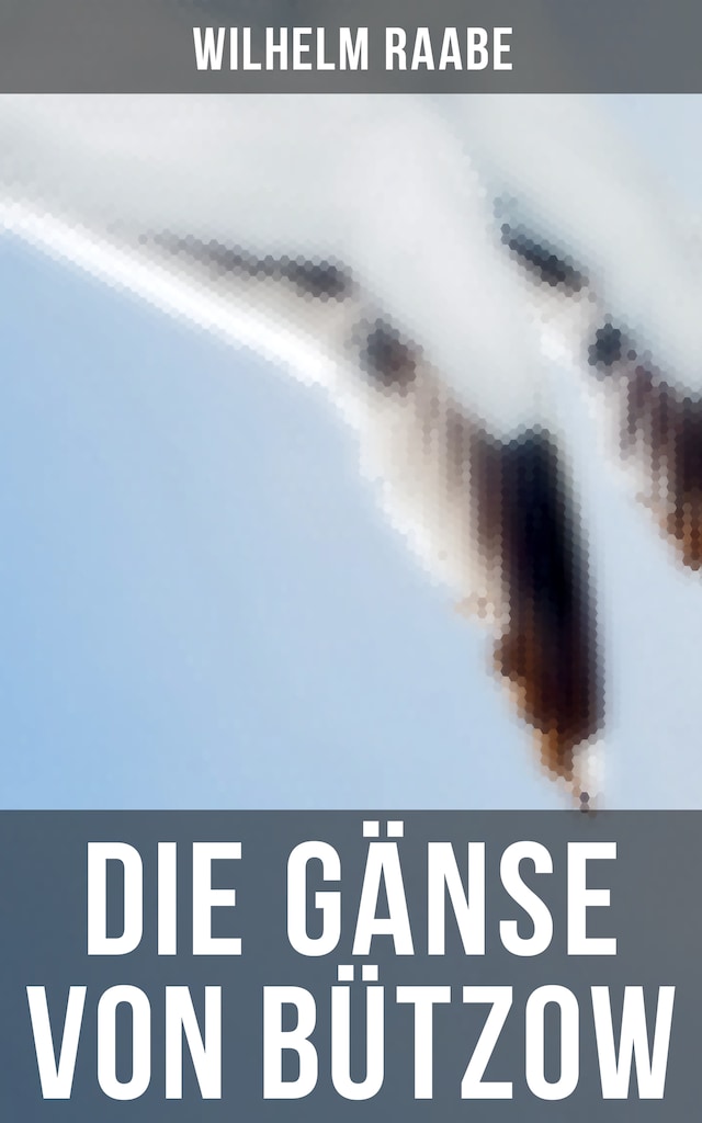 Book cover for Die Gänse von Bützow